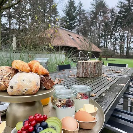 B&B Mollenvlied Veluwe Vaassen
