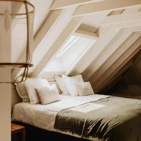 Mollenvlied Bed & Breakfast