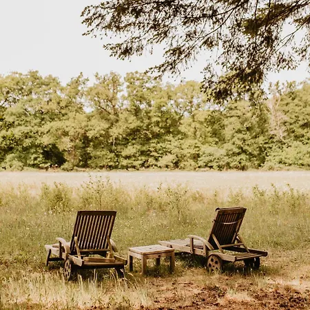 B&B Mollenvlied Veluwe 3* Vaassen