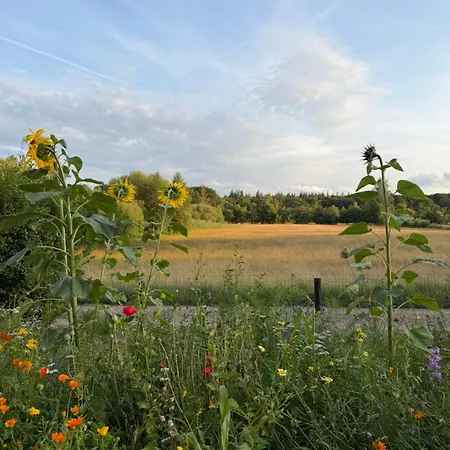 B&B Mollenvlied Veluwe Bed & Breakfast Vaassen