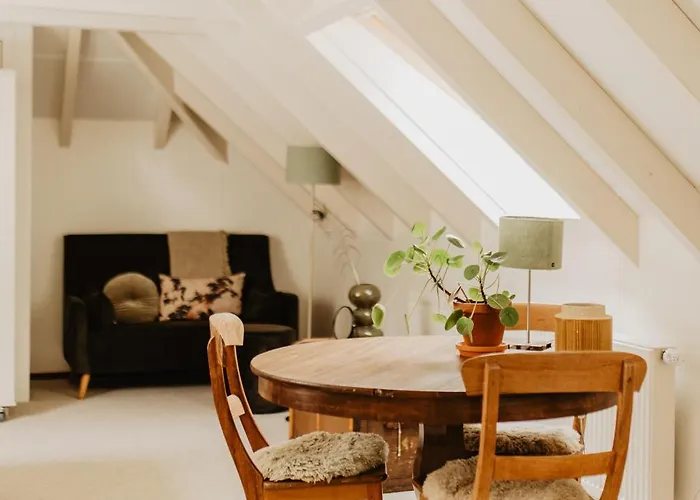 Bed & Breakfast Mollenvlied