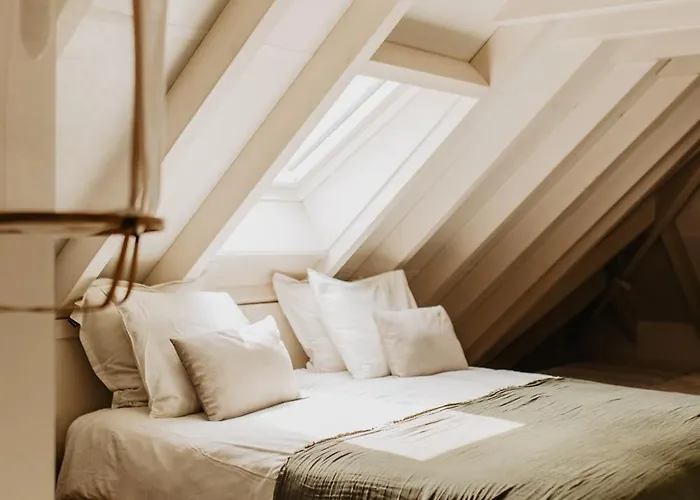 Mollenvlied Bed & Breakfast