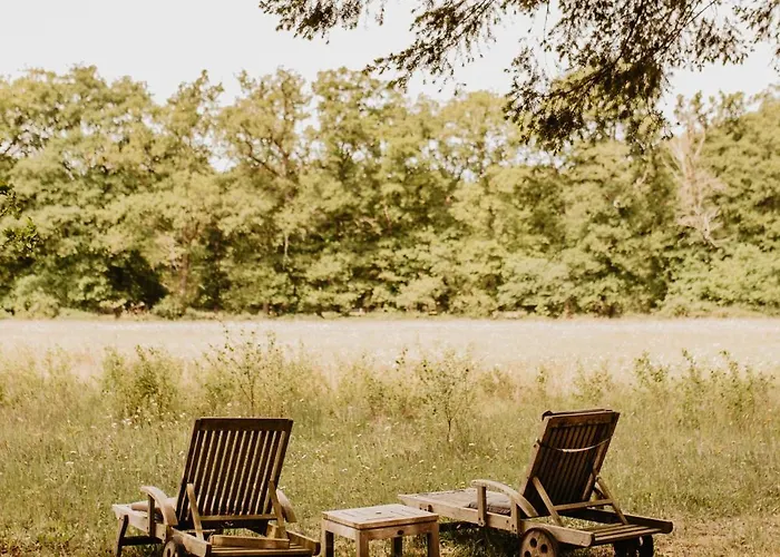 Mollenvlied 3* Vaassen