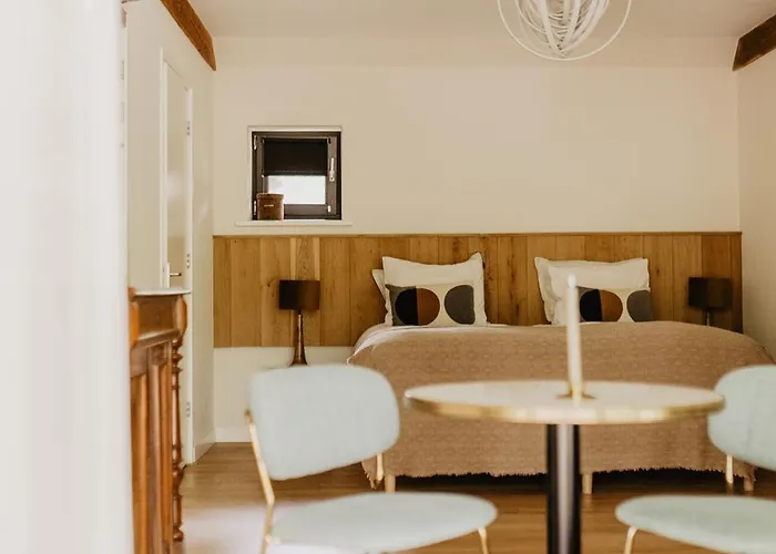 Mollenvlied 3* Vaassen