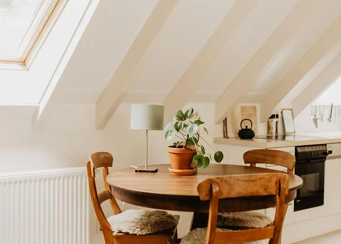 Mollenvlied 3* Vaassen